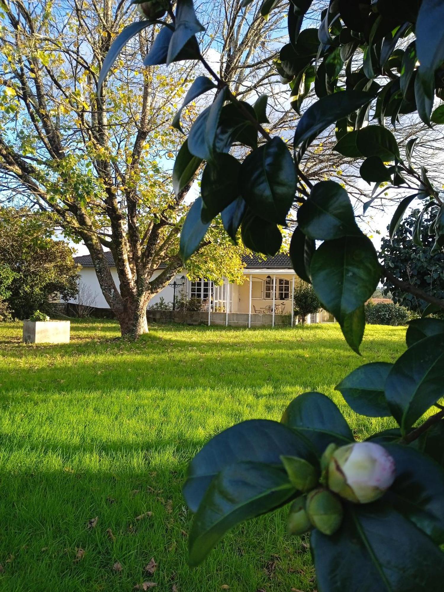 La Maison D'Abelleira Ponteareas Exteriör bild